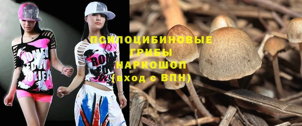 ГАЛЛЮЦИНОГЕННЫЕ ГРИБЫ Алексеевка