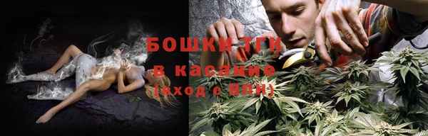 ГАЛЛЮЦИНОГЕННЫЕ ГРИБЫ Алексеевка