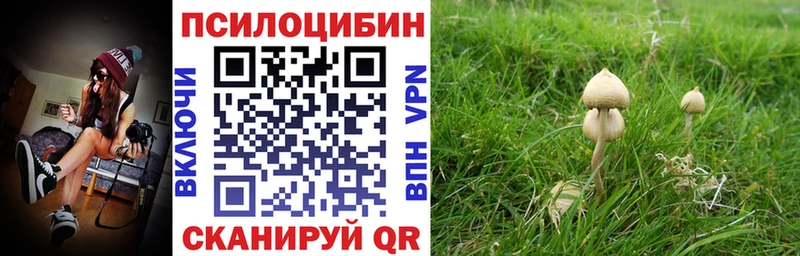 Галлюциногенные грибы MAGIC MUSHROOMS  Курганинск 