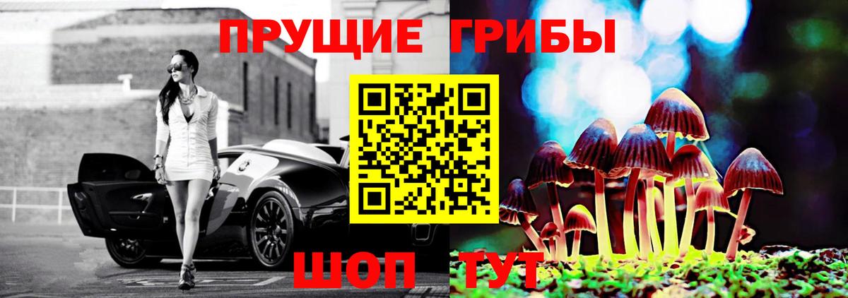 купить   Галлюциногенные грибы Magic Shrooms  Вход с VPN  Курганинск 