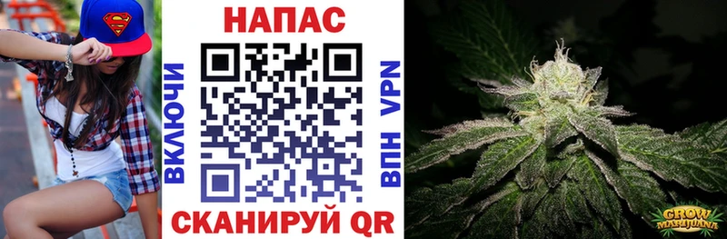Конопля конопля  нарко площадка наркотические препараты  Курганинск 